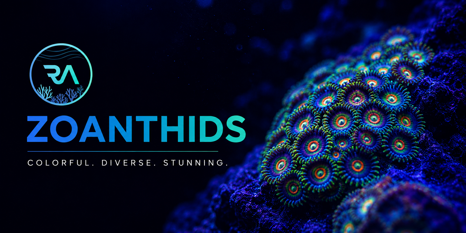 Zoanthids