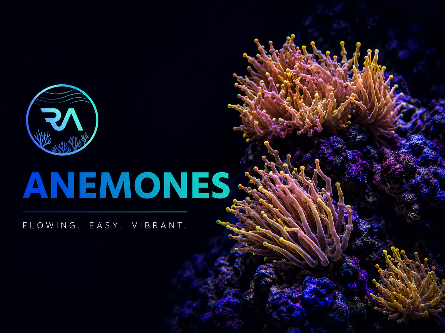 Anemones