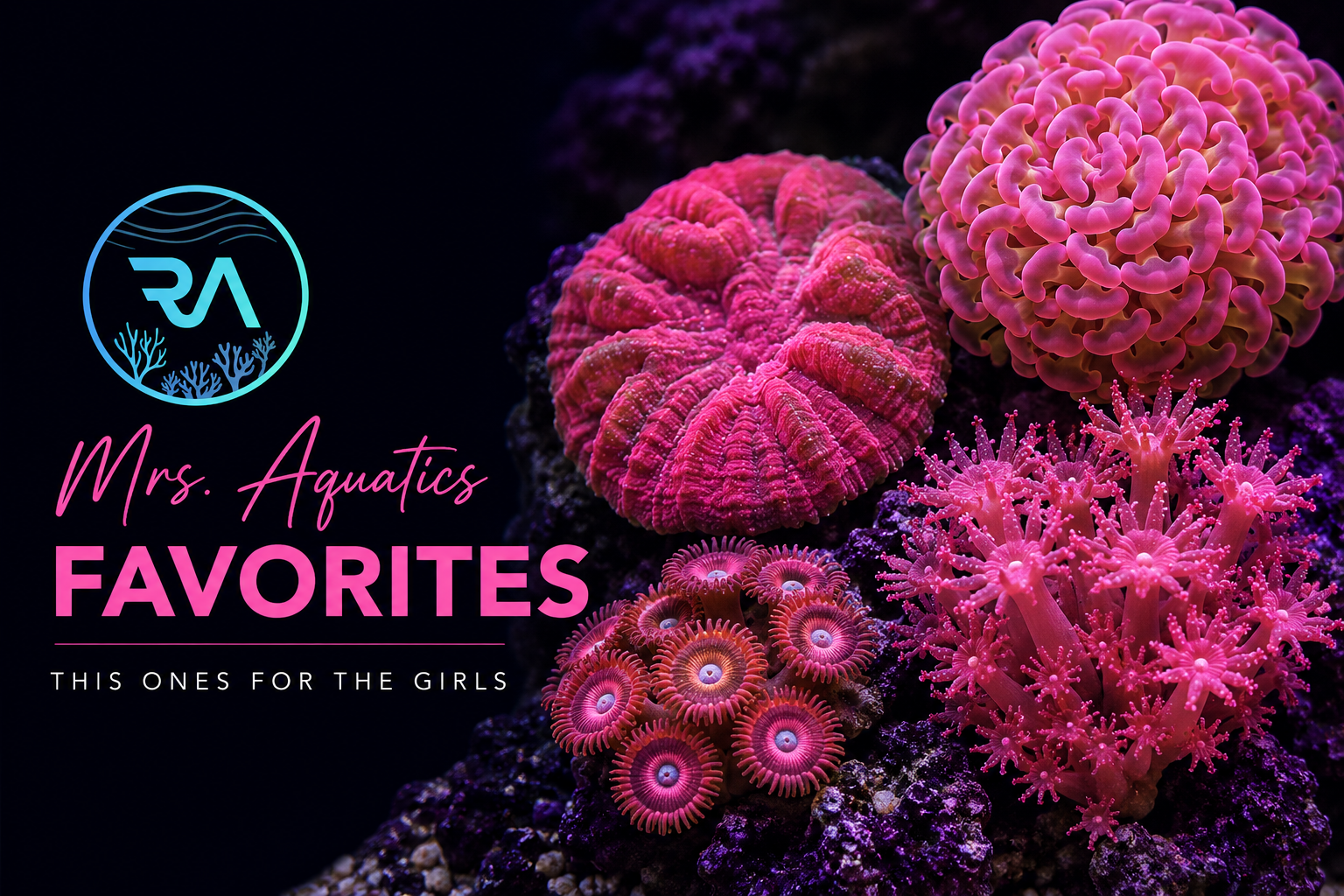 Mrs. Aquatic's Favorites