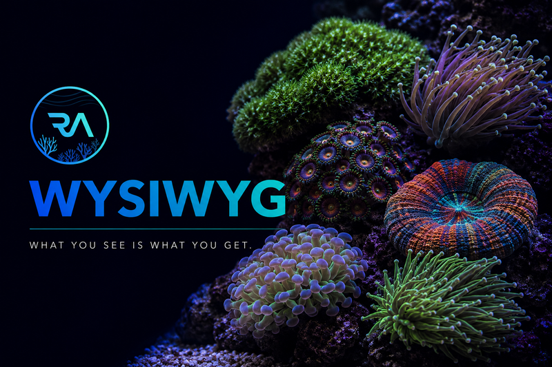 WYSIWYG