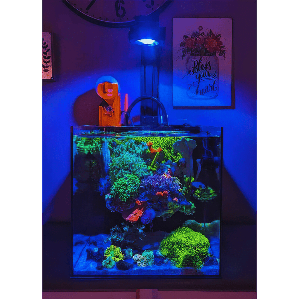 Pixel LED Bundles All Sizes