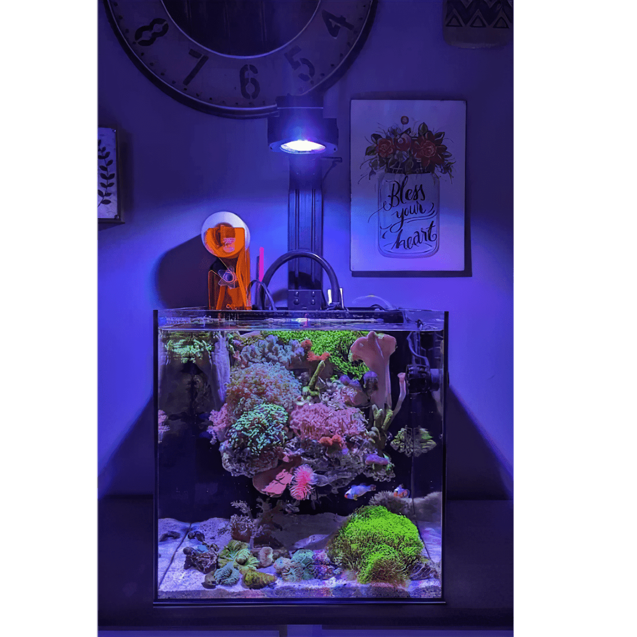 Pixel LED Bundles All Sizes